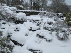 Rock garden in the snow